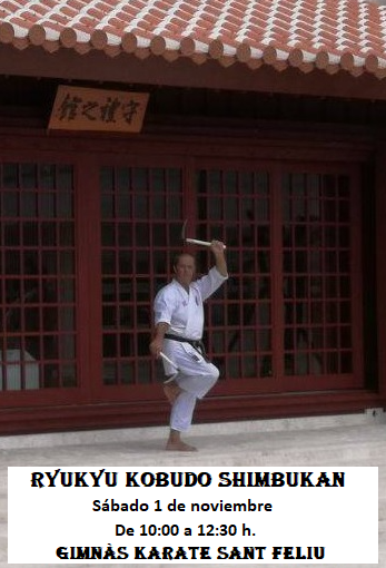 SEMINARIO RYUKYU KOBUDO SHIMBUKAN